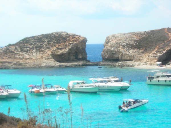 Comino (Blue lagoon)